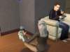 familiecatsim110_small.jpg