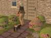 familiecatsim123_small.jpg