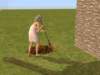 familiecatsim129_small.jpg