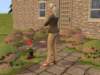 familiecatsim130_small.jpg