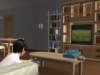 familiecatsim139_small.jpg