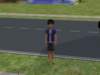 familiecatsim173_small.jpg