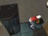 familiecatsim184_small.jpg