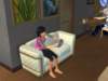 familiecatsim229_small.jpg