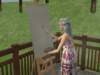 familiecatsim236_small.jpg