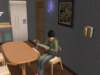 familiecatsim271_small.jpg