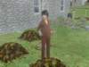 familiecatsim280_small.jpg