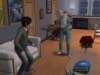 familiecatsim287_small.jpg