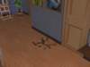 familiecatsim291_small.jpg