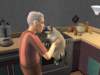 familiecatsim294_small.jpg