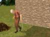 familiecatsim295_small.jpg