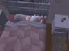 familiecatsim301_small.jpg