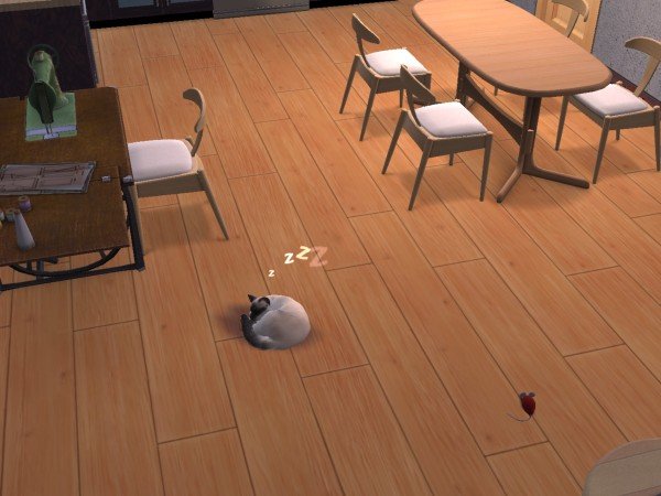 familiecatsim304.jpg