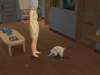 familiecatsim307_small.jpg