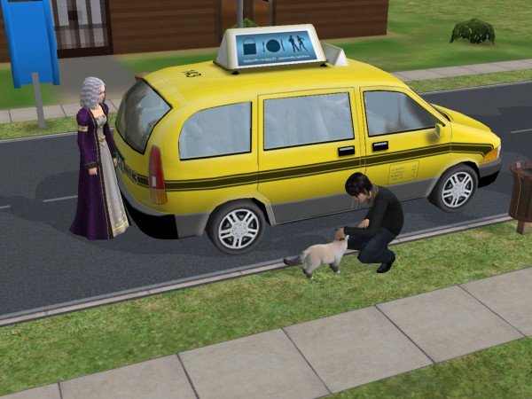 familiecatsim321.jpg