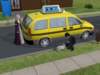 familiecatsim321_small.jpg