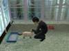 familiecatsim323_small.jpg