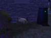 familiecatsim326_small.jpg