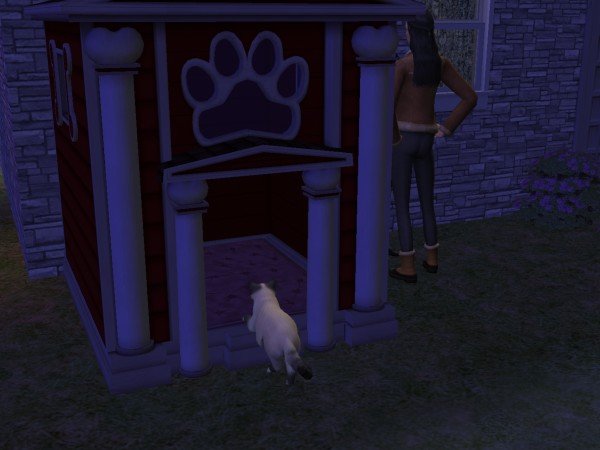 familiecatsim327.jpg