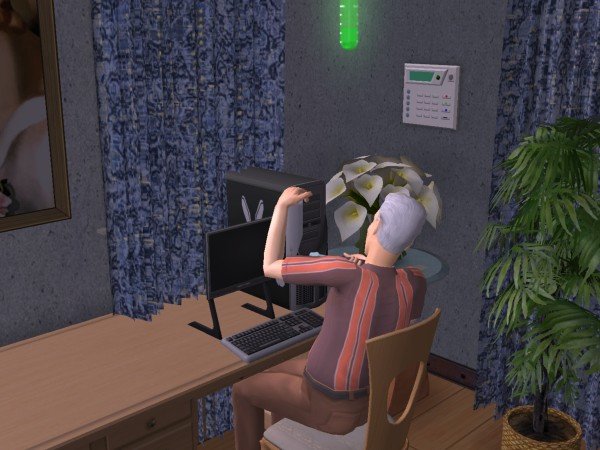 familiecatsim332.jpg