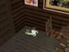 familieforrest546_small.jpg