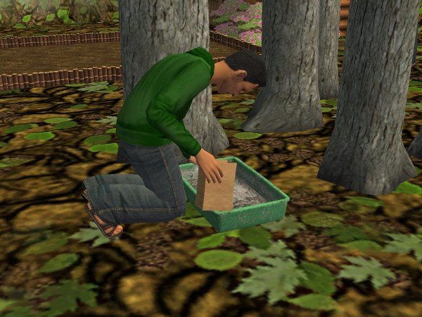 familieforrest672.jpg