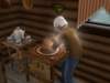 familieforrest367_small.jpg
