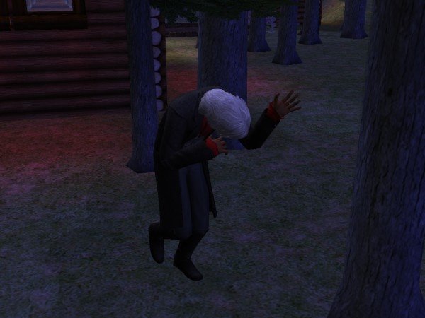 familieforrest445.jpg