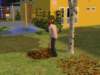 familielimone497_small.jpg