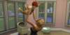 _141711_small.jpg